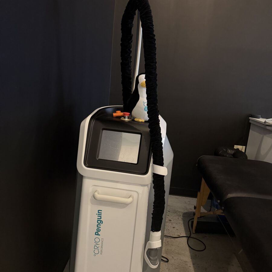 Used Cryo Penguin cryotherapy device
