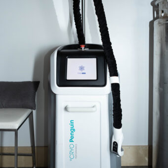 Demo-level Cryo Penguin cryoblower